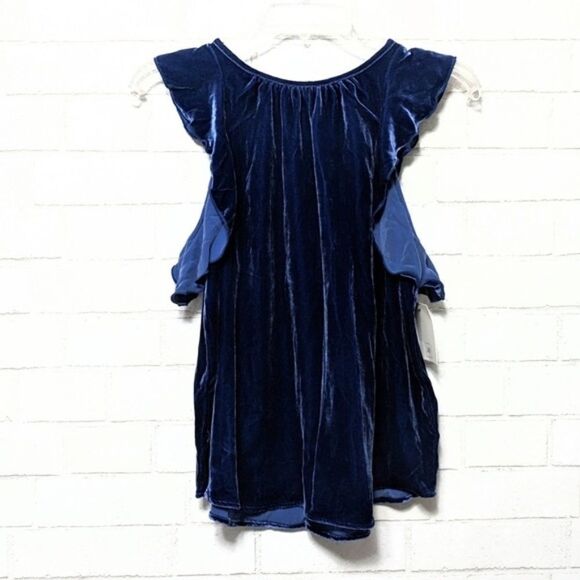 NWT GAP Velvet Ruffle Blue Flutter Sleeve Top XS - Picture 2 of 8